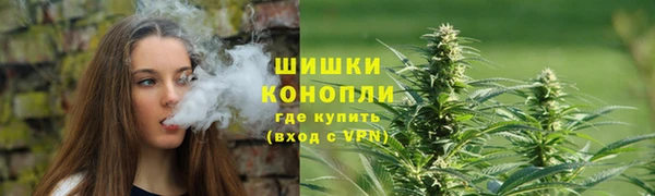 стаф Богданович