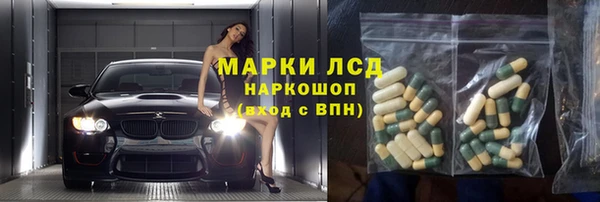стаф Богданович