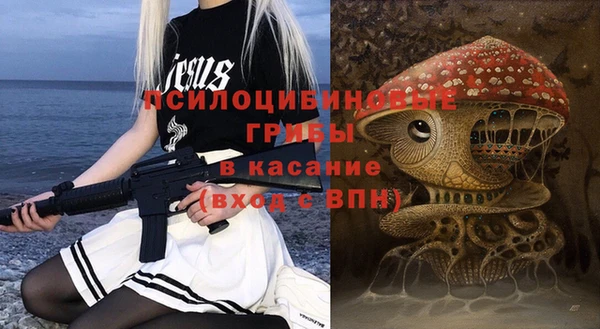 стаф Богданович