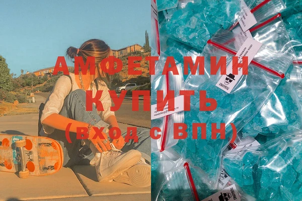 стаф Богданович