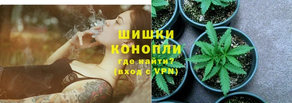 гидра Бронницы