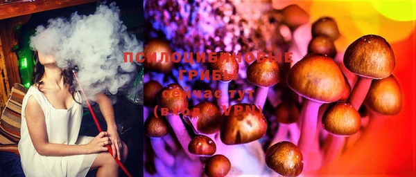 стаф Богданович