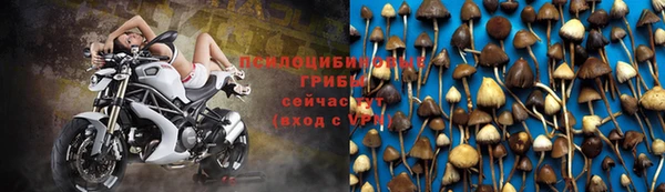 прущий лед Богородск