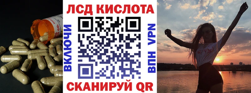 OMG онион  Новопавловск  ЛСД экстази ecstasy 
